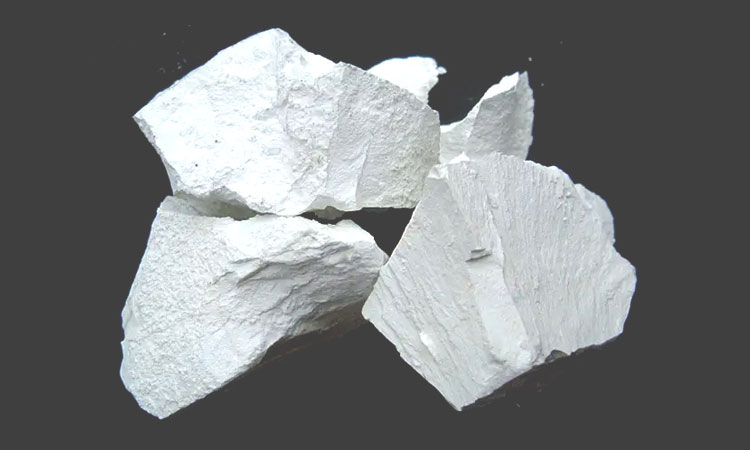 為什么選擇我們